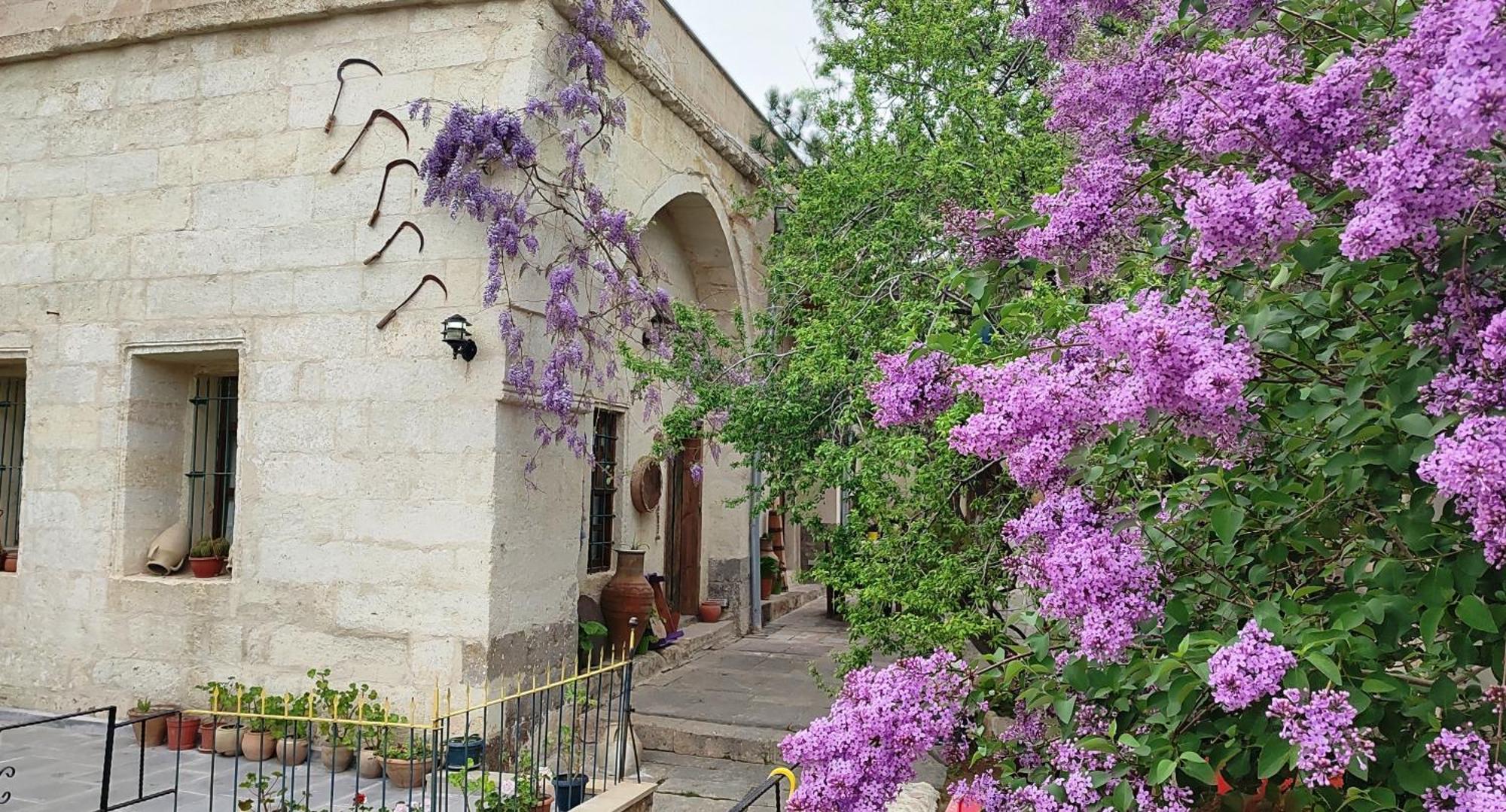 Armesos Cave Hotel Ürgüp Bagian luar foto
